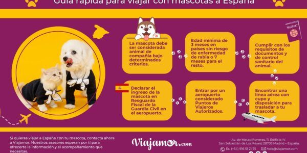 Viajar a España con mascota