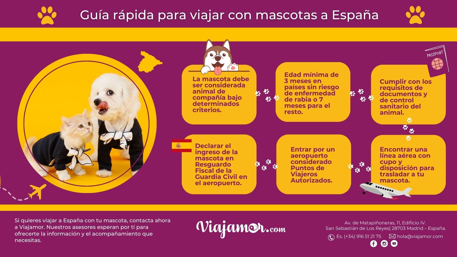 Viajar a España con mascota