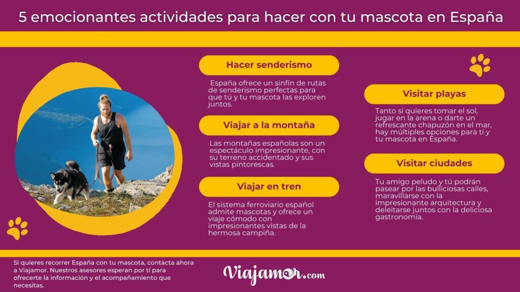 viajar a españa mascotas