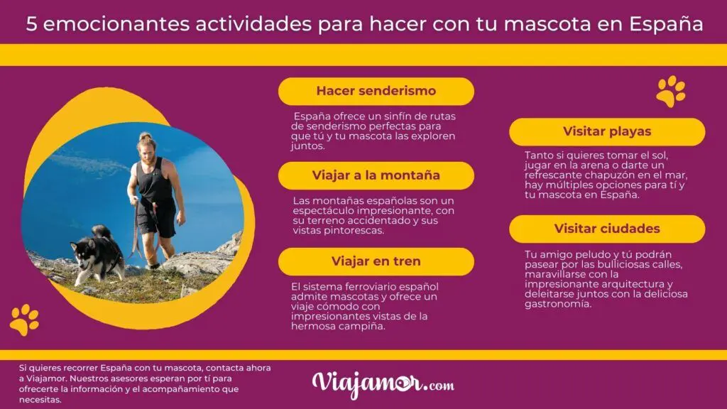 viajar a españa mascotas