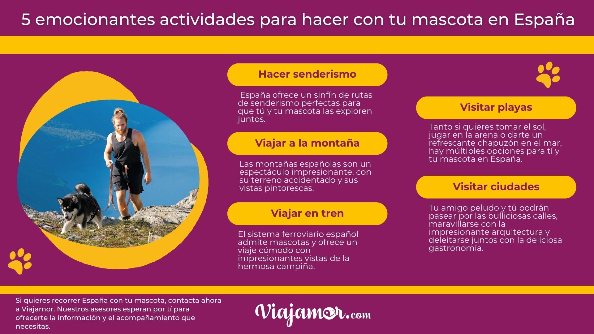 viajar a españa mascotas