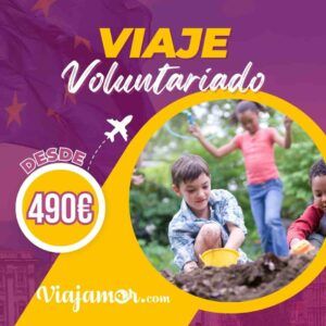 voluntariado